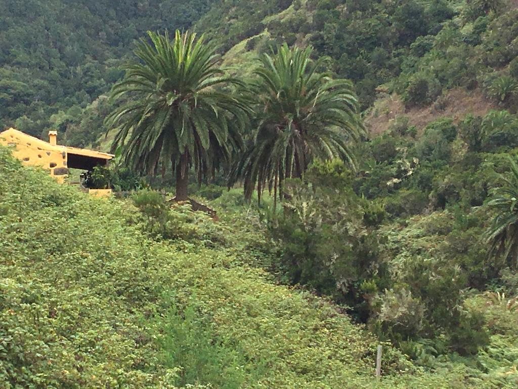 Casa Rural El Rincón de Antonia Agulo Exterior foto