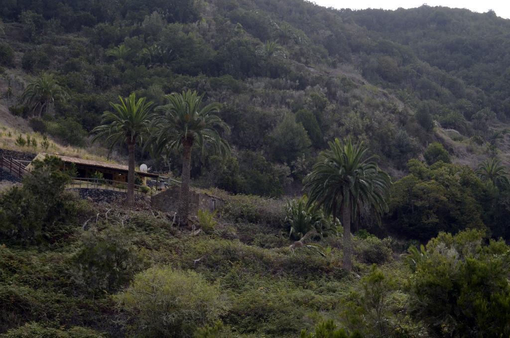 Casa Rural El Rincón de Antonia Agulo Exterior foto